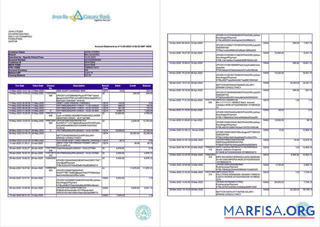 Realistic India Canara bank account statement word 2 pages download for verification